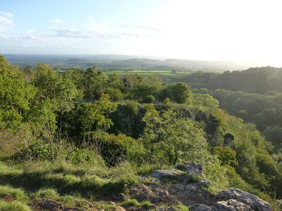 Ebbor Gorge