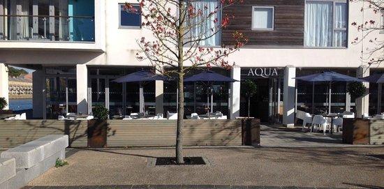 Aqua Spinnaker
