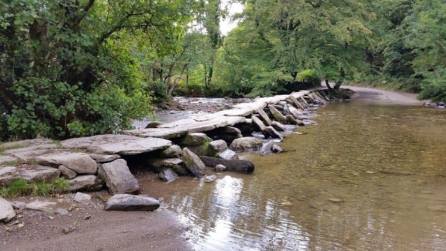 Tarr Steps Woodland National Nature Reserve