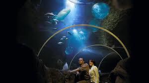 SeaQuarium Weston