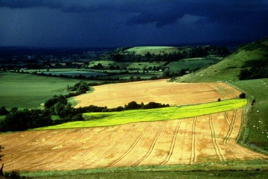 South Cadbury Castle