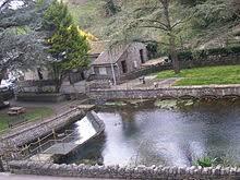 Cheddar Yeo