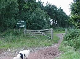 Rowberrow Warren