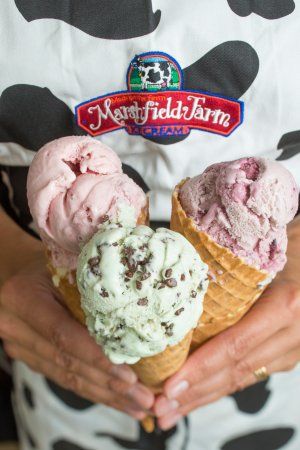 Marshfield Farm Ice Cream