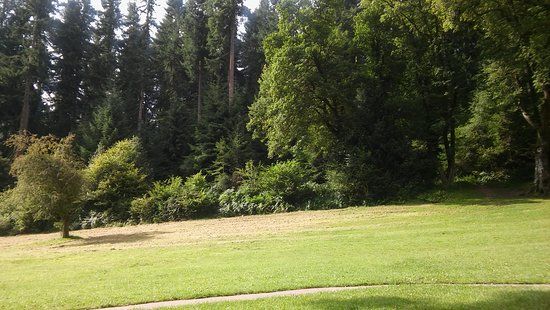 Great Wood